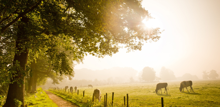 İnsan Yaşantısının 5 Evresi
