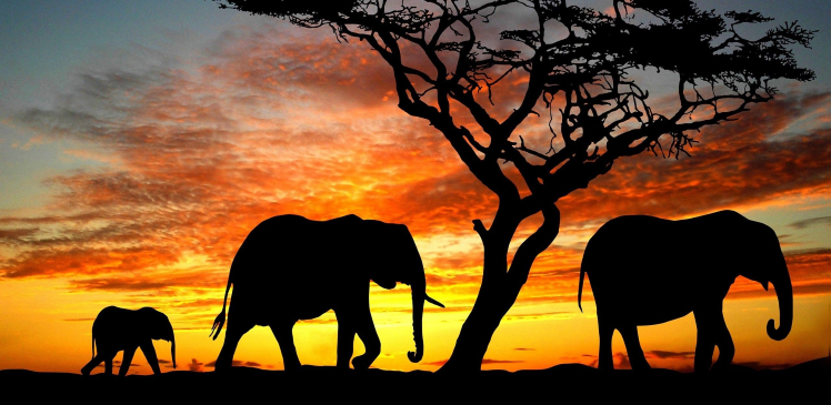 Cumhuriyet Teriminin Kökeni ve Anlamı