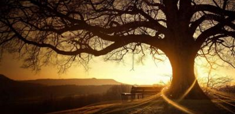 Kadim Medeniyetlerin İzleri ve Türkler