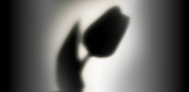 Kur'an, herkesin kendi anadilindedir.