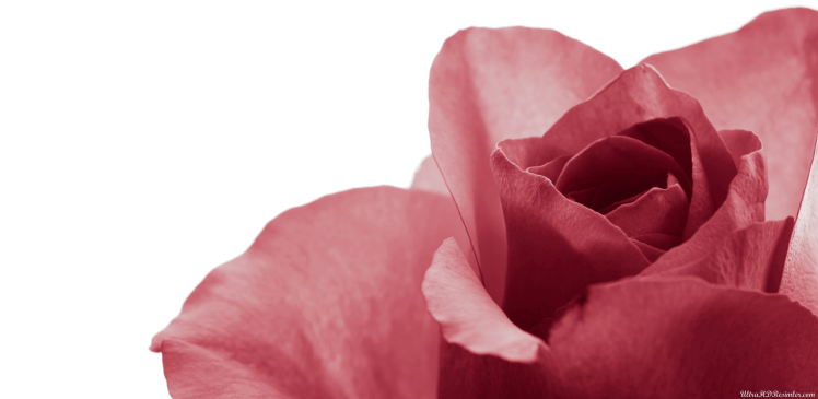 Kavram ve Kavram Kargaşası