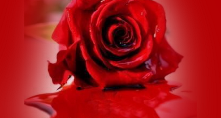 Aziz Valentin Günü