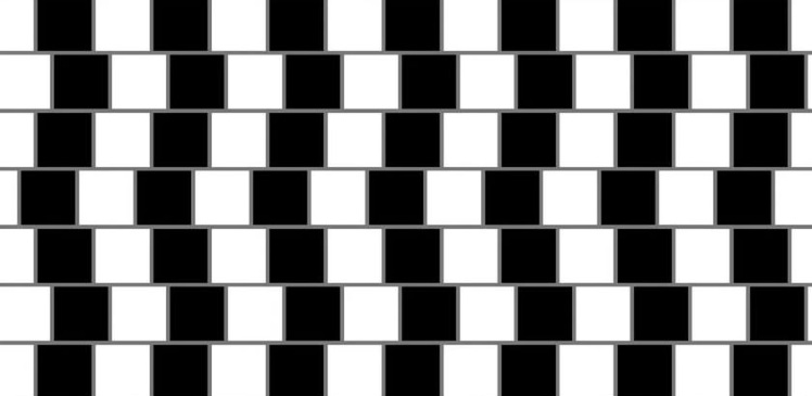 Vücud ve Gövde Ayrımı 